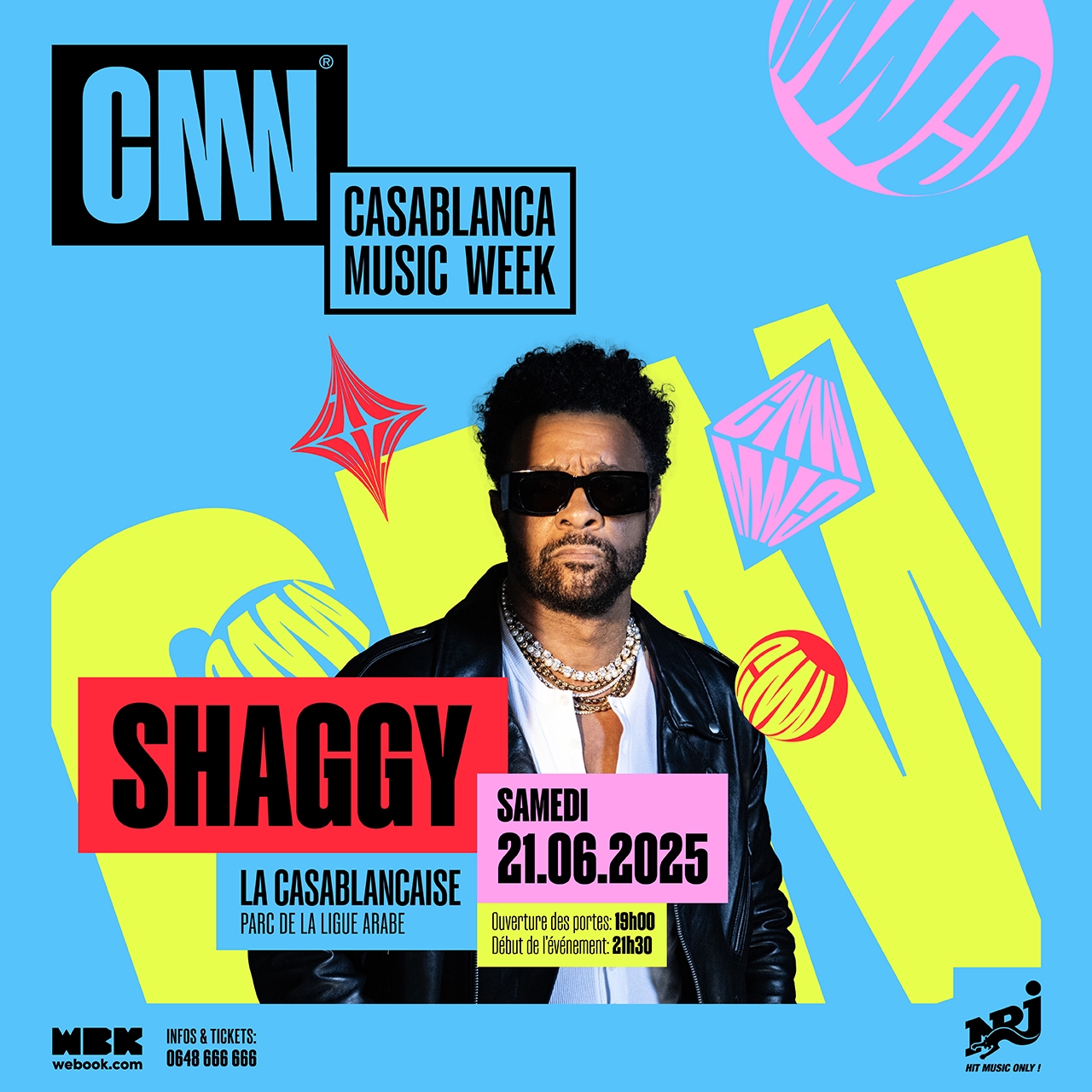 Shaggy